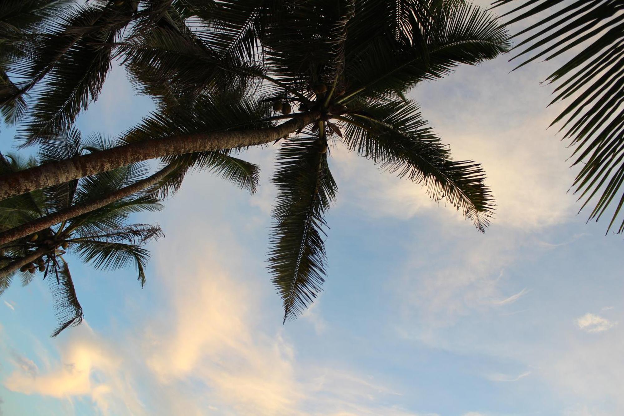 Prana Beach Hotel Ex Guli ヒッカドゥワ エクステリア 写真