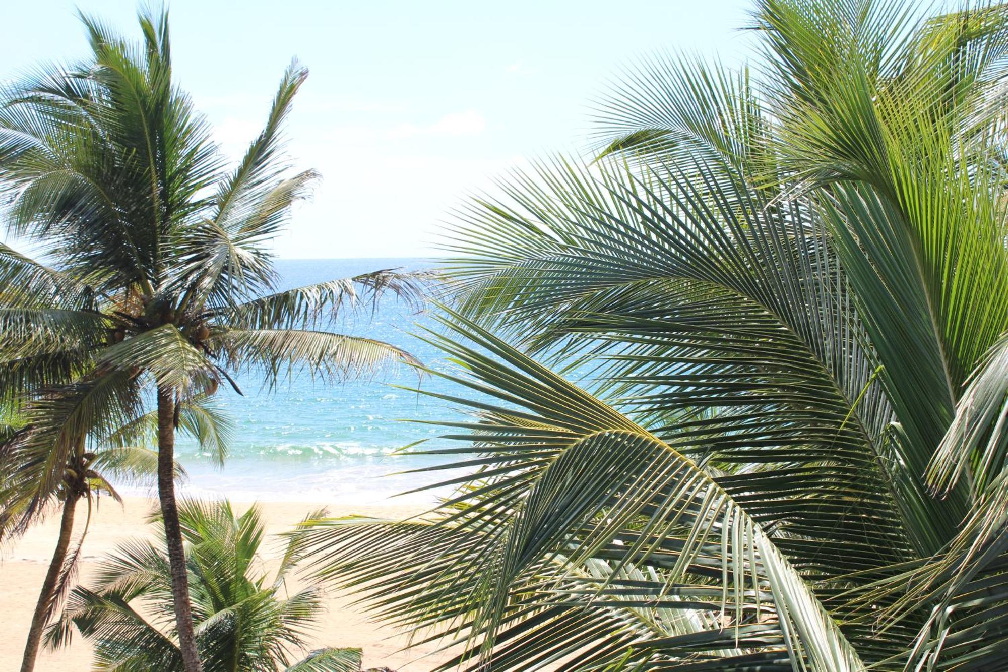 Prana Beach Hotel Ex Guli ヒッカドゥワ エクステリア 写真